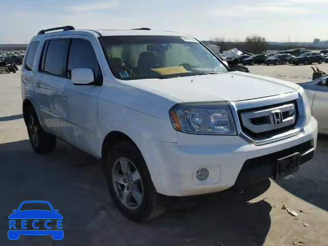 2009 HONDA PILOT EXL 5FNYF38559B027356 image 0