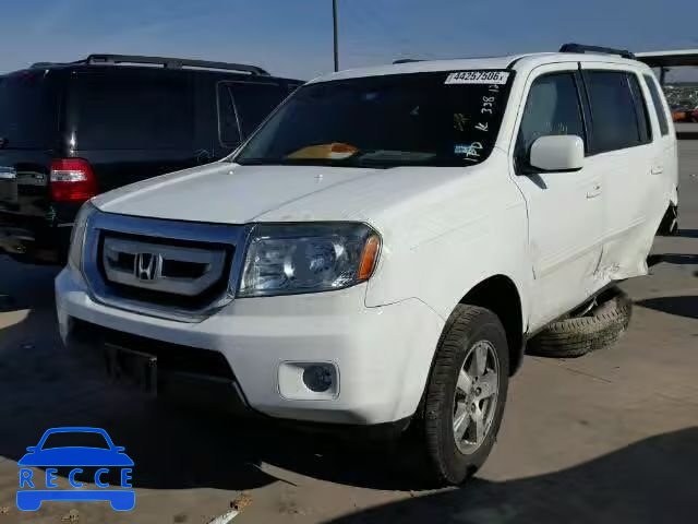 2009 HONDA PILOT EXL 5FNYF38559B027356 image 1