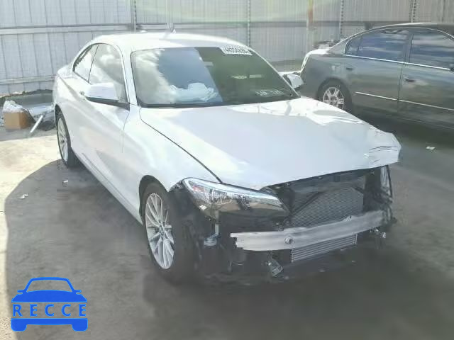 2016 BMW 228I SULEV WBA1F9C50GV545852 зображення 0