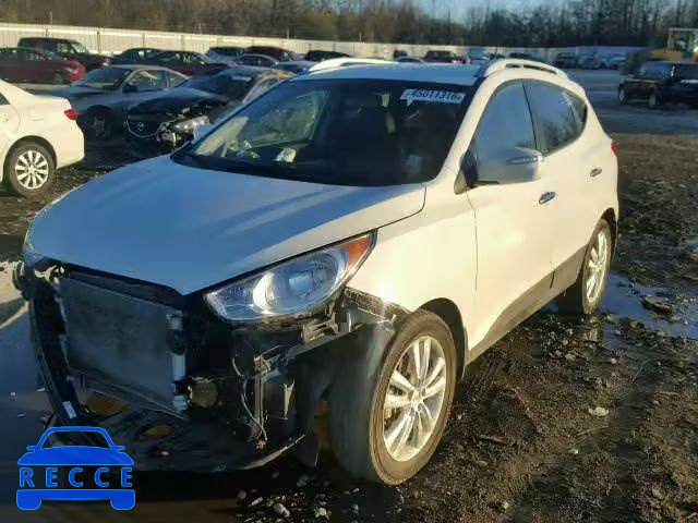 2013 HYUNDAI TUCSON GLS KM8JU3AC5DU561114 Bild 1