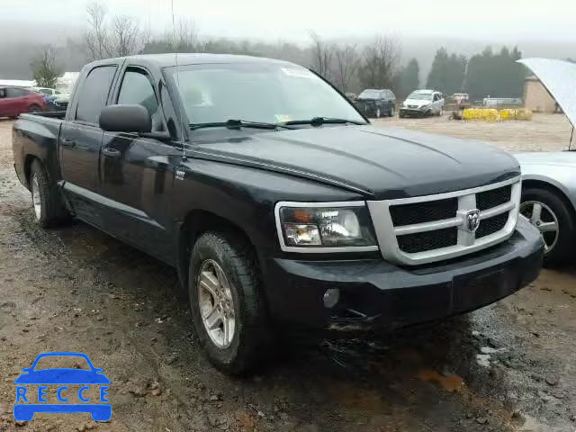 2011 DODGE DAKOTA SLT 1D7RW3GP5BS579574 Bild 0