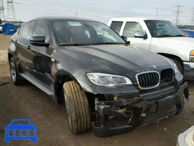 2013 BMW X6 XDRIVE3 5UXFG2C59DL786697 зображення 0