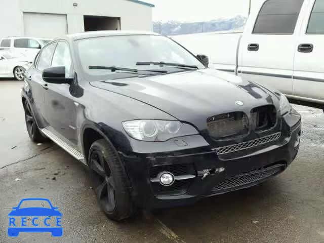 2009 BMW X6 5UXFG83589LZ93284 image 0