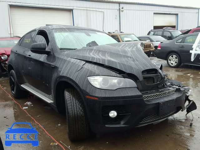 2009 BMW X6 5UXFG83589LZ92491 image 0