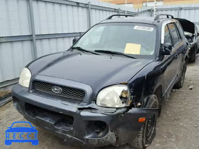 2004 HYUNDAI SANTA FE B KM8SB13D24U607566 зображення 1