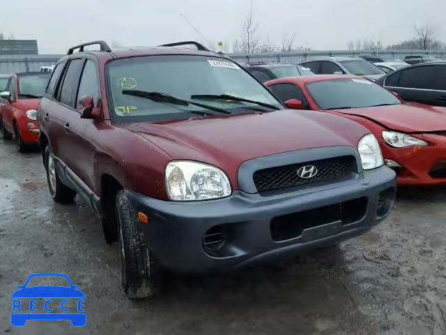 2004 HYUNDAI SANTA FE B KM8SB13DX4U619450 зображення 0