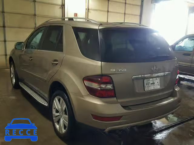 2010 MERCEDES-BENZ ML 350 4MA 4JGBB8GB4AA556408 image 2