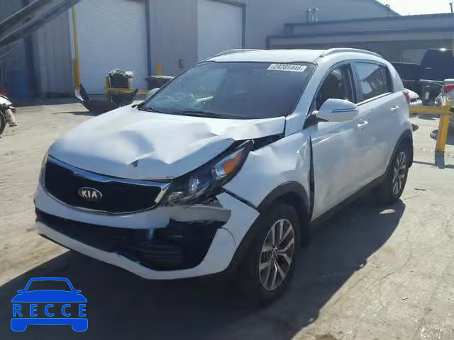 2014 KIA SPORTAGE B KNDPB3ACXE7607654 image 1