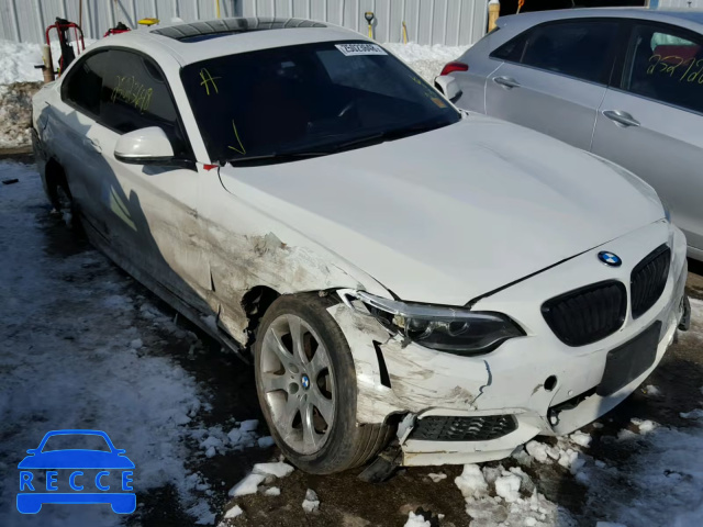 2015 BMW 228 I WBA1F5C55FV256988 image 0