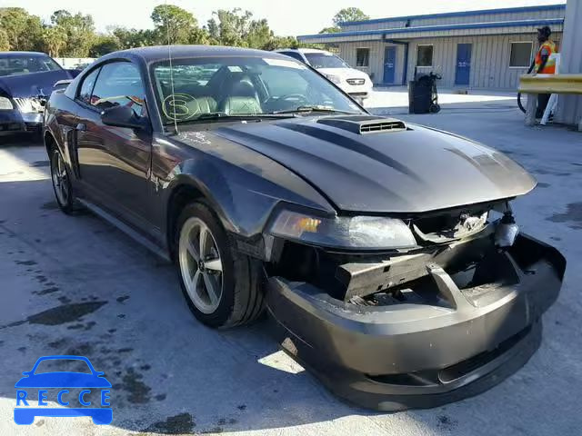 2003 FORD MUSTANG MA 1FAFP42R63F395334 image 0