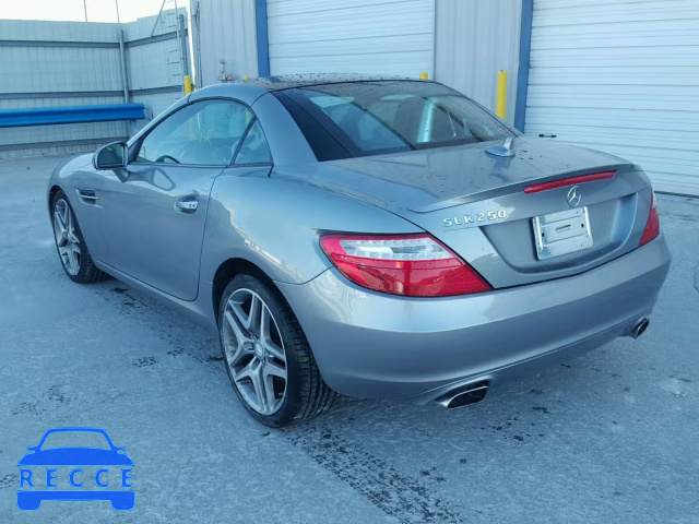 2014 MERCEDES-BENZ SLK 250 WDDPK4HA4EF091782 image 2