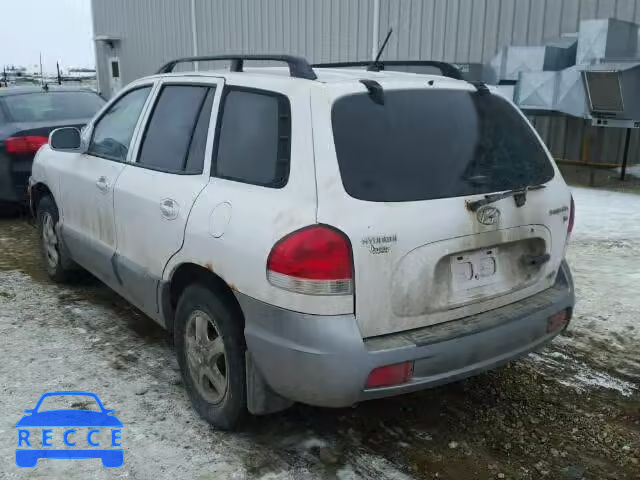 2005 HYUNDAI SANTA FE B KM8SB73D45U881260 зображення 2