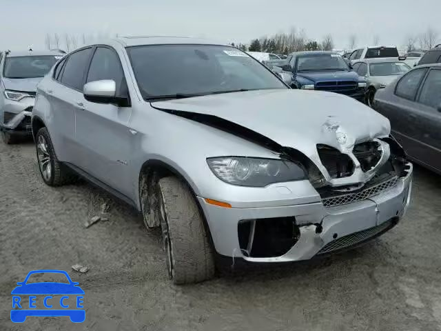 2013 BMW X6 XDRIVE3 5UXFG2C51DL785365 image 0