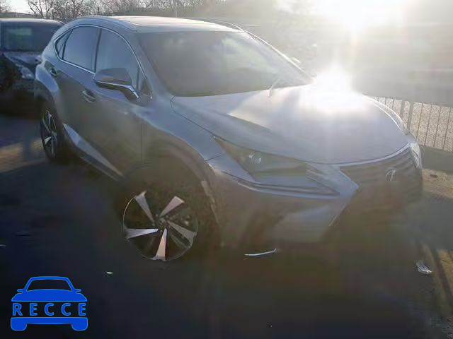 2018 LEXUS NX 300 JTJBARBZ5J2150839 image 0