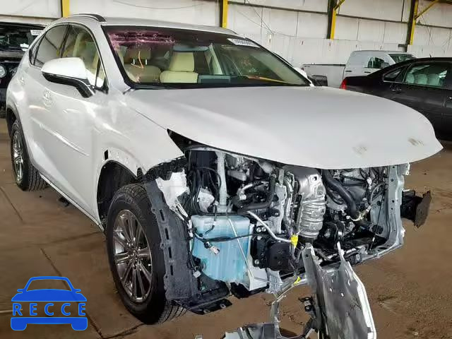 2019 LEXUS NX 300 JTJYARBZ0K2121891 зображення 0