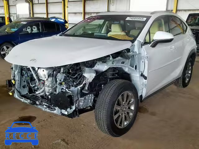 2019 LEXUS NX 300 JTJYARBZ0K2121891 зображення 1