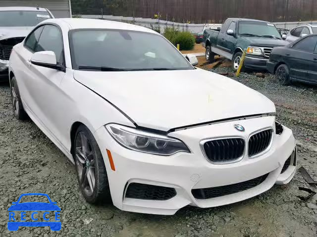 2015 BMW 228 XI WBA1G9C51FVX96780 зображення 0