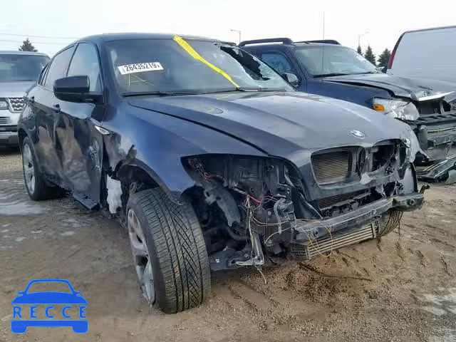 2010 BMW X6 XDRIVE3 5UXFG4C54AL225654 image 0