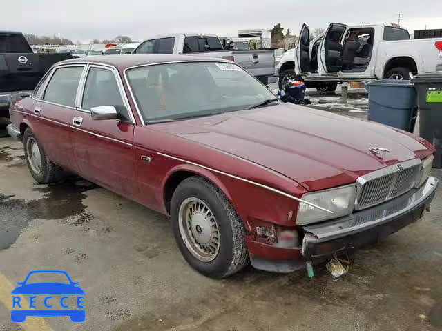 1990 JAGUAR VANDENPLAS SAJKY1744LC600802 image 0