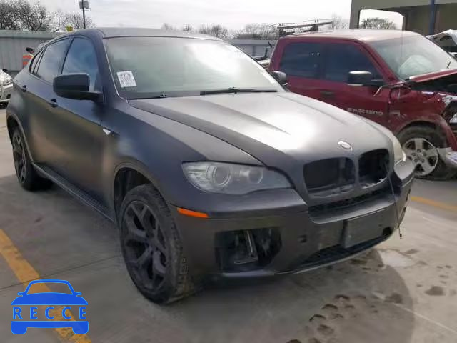 2009 BMW X6 XDRIVE3 5UXFG43559L224184 image 0