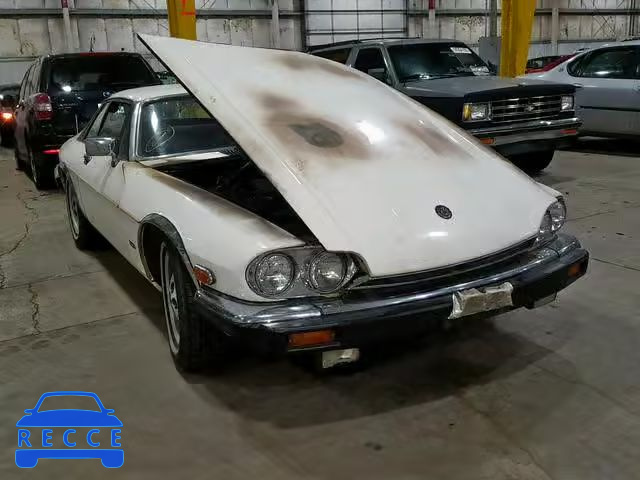 1984 JAGUAR XJS SAJNV5849EC113304 image 0