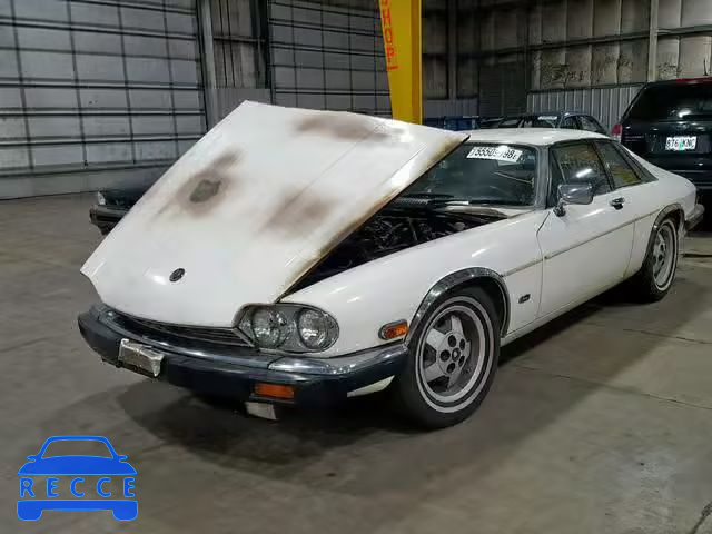 1984 JAGUAR XJS SAJNV5849EC113304 image 1