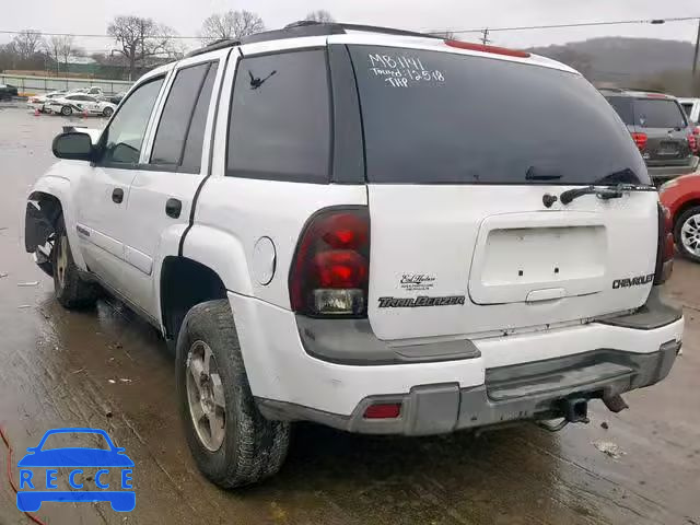 2003 CHEVROLET TRAILBLAZR 1GNDS13S432201141 зображення 2