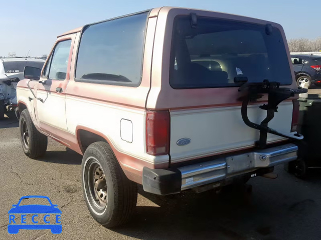 1984 FORD BRONCO II 1FMCU14S8EUA30149 image 2