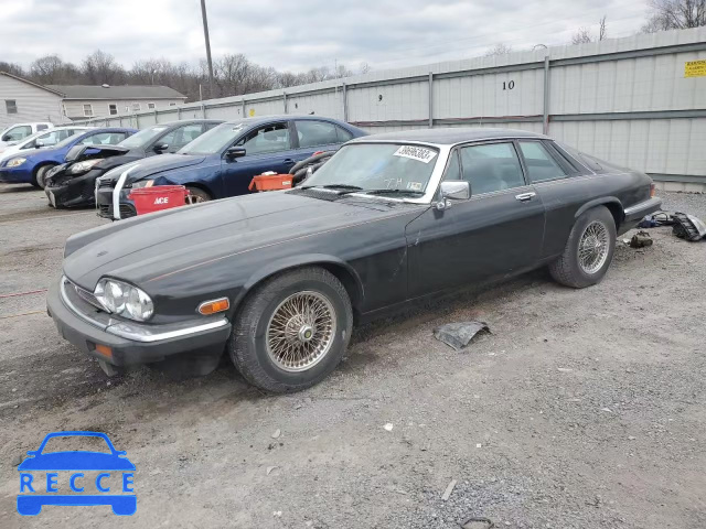 1985 JAGUAR XJS SAJNV5845FC120512 image 0