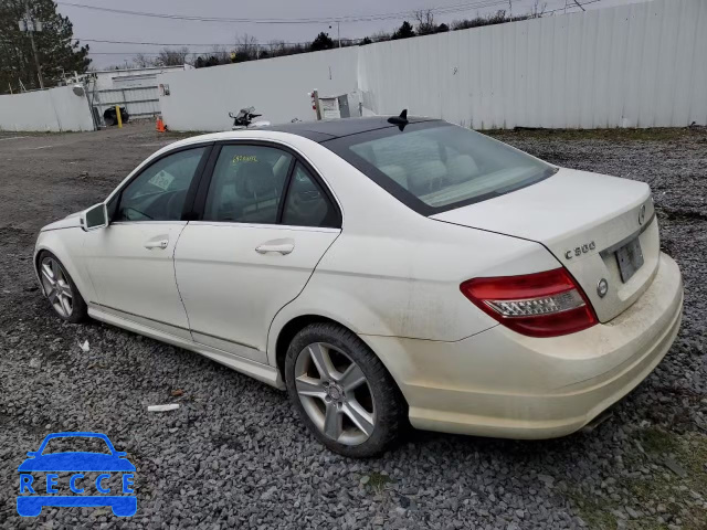2010 MERCEDES-BENZ 300-CLASS WDDGF8BB8AF435461 зображення 1