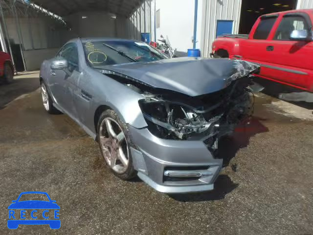 2013 MERCEDES-BENZ SLK250 WDDPK4HA8DF055396 image 0