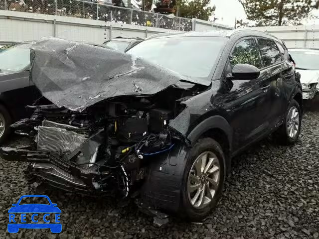 2017 HYUNDAI TUCSON LIM KM8J3CA48HU262959 image 1