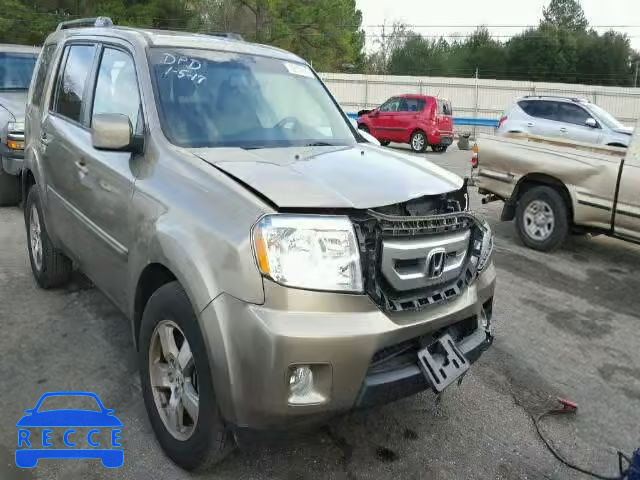 2010 HONDA PILOT EXL 5FNYF3H5XAB001615 image 0