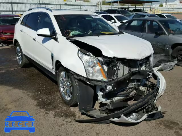 2013 CADILLAC SRX PERFOR 3GYFNDE35DS542547 image 0