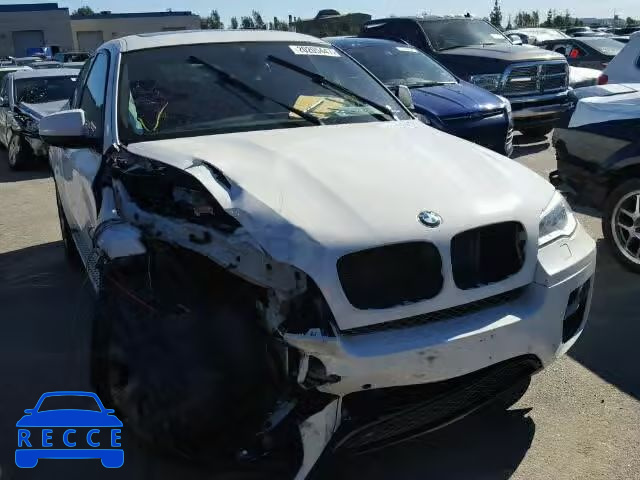 2013 BMW X6 XDRIVE3 5UXFG2C59DL784545 image 0