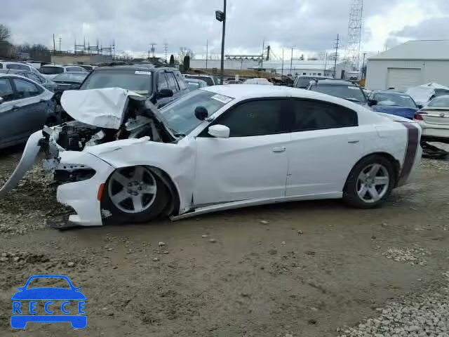 2015 DODGE CHARGER PO 2C3CDXAG2FH858570 image 8