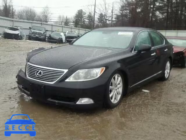 2009 LEXUS LS460 AWD JTHCL46F795003967 Bild 1