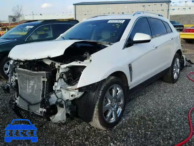 2011 CADILLAC SRX PERFOR 3GYFNBEY2BS536136 зображення 1