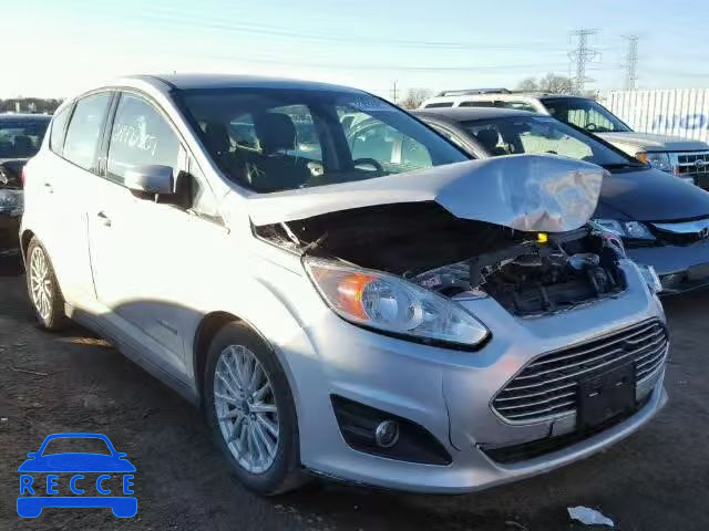 2013 FORD C-MAX SEL 1FADP5BUXDL554361 image 0