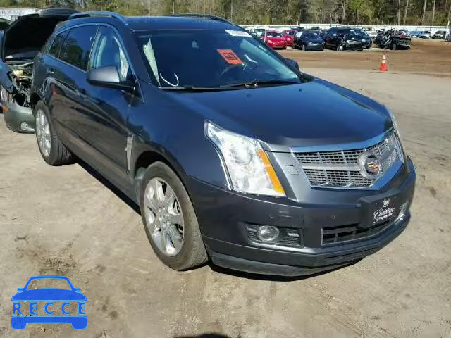 2011 CADILLAC SRX PREMIU 3GYFNFEY9BS586961 image 0