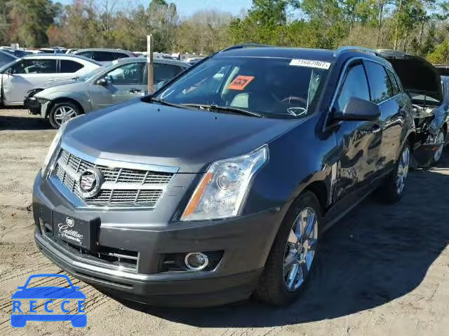 2011 CADILLAC SRX PREMIU 3GYFNFEY9BS586961 image 1