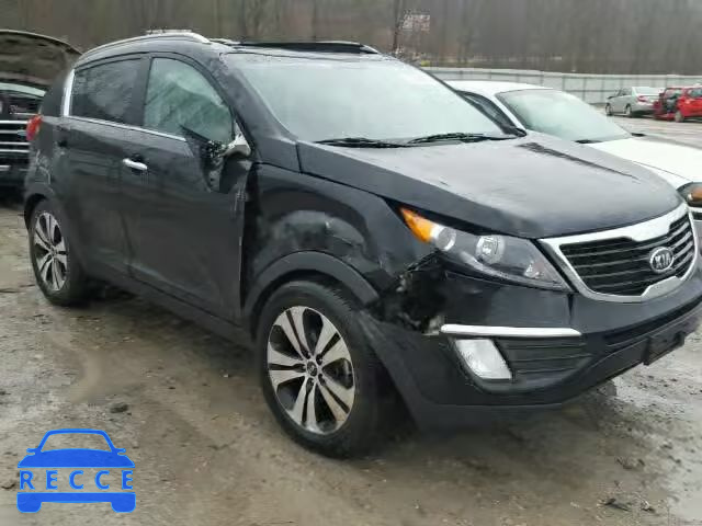 2012 KIA SPORTAGE E KNDPC3A29C7336569 image 8