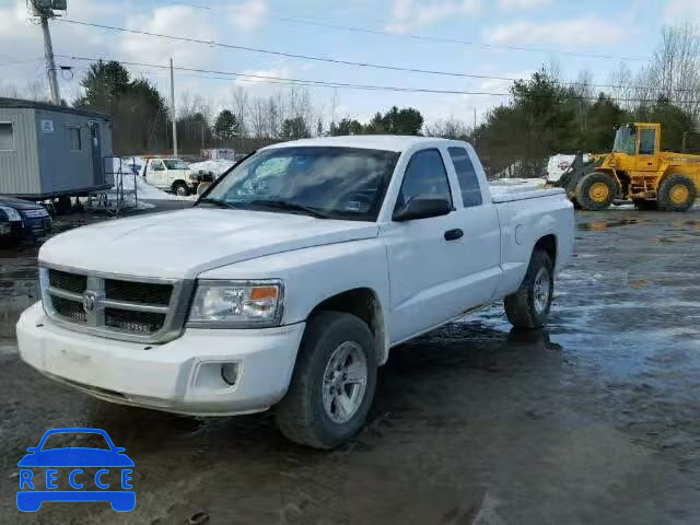 2008 DODGE DAKOTA SLT 1D7HW42K48S524555 image 1