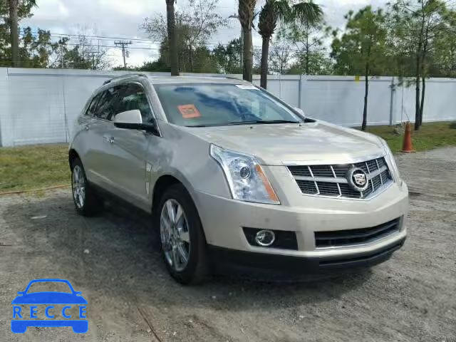 2010 CADILLAC SRX PERFOR 3GYFNBEY8AS539704 Bild 0