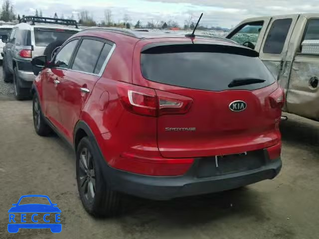 2011 KIA SPORTAGE E KNDPC3A28B7033880 image 2