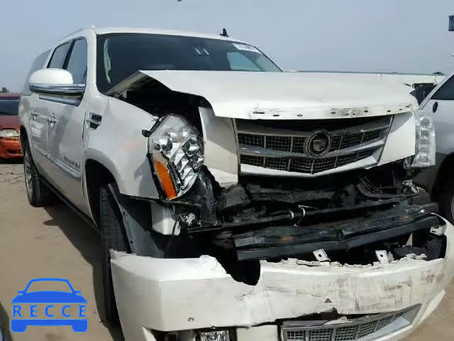 2010 CADILLAC ESCALADE E 1GYUKKEF9AR265849 image 0