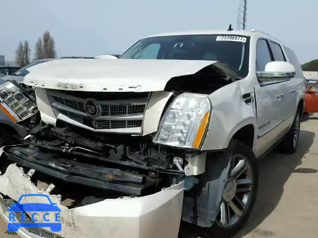 2010 CADILLAC ESCALADE E 1GYUKKEF9AR265849 image 1