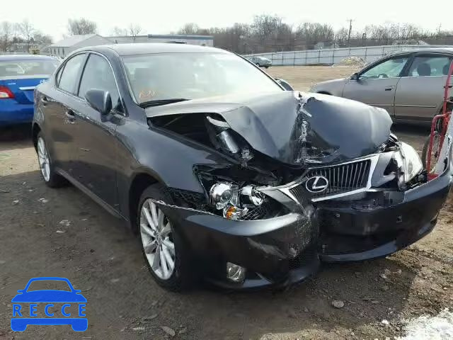 2009 LEXUS IS250 AWD JTHCK262195034992 image 0