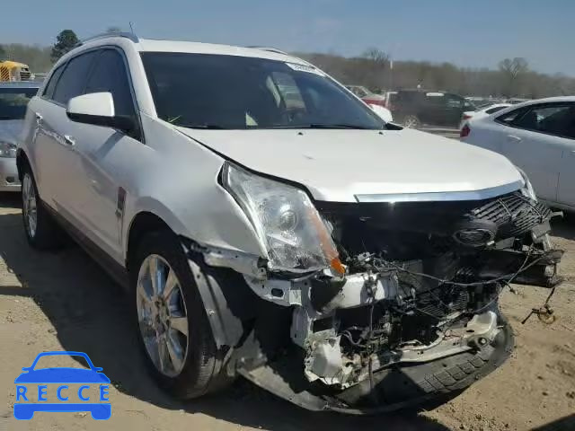 2010 CADILLAC SRX PREMIU 3GYFNCEY3AS565276 Bild 0