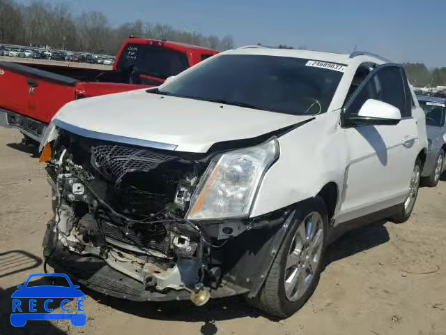 2010 CADILLAC SRX PREMIU 3GYFNCEY3AS565276 image 1